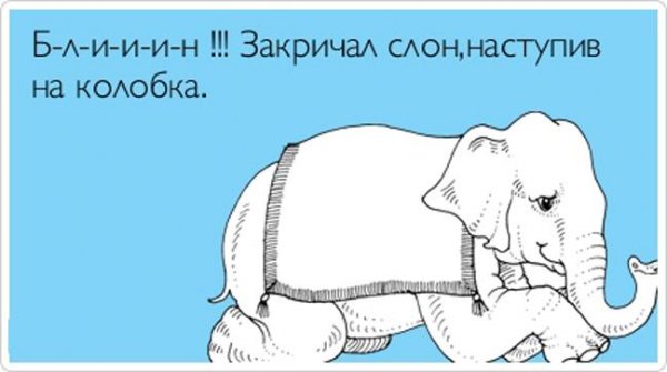Шутку про слоников