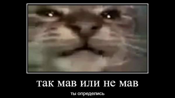 Бибер бобер