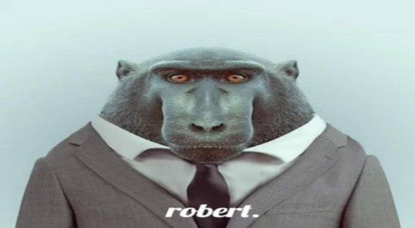 Лемур Кловер и мудрец