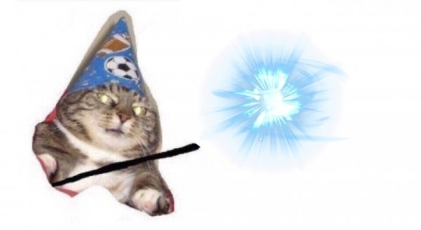Кот маг вжух