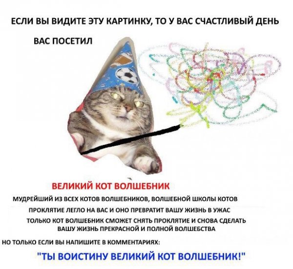 Кот волшебник Мем