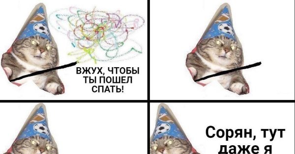 Кот волшебник вжух