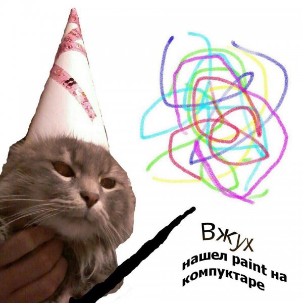 Кот в колпаке вжух