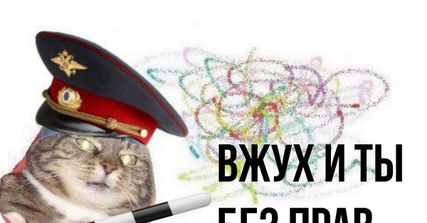 Вжух Мем