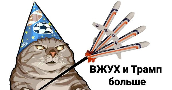 Кот вжух