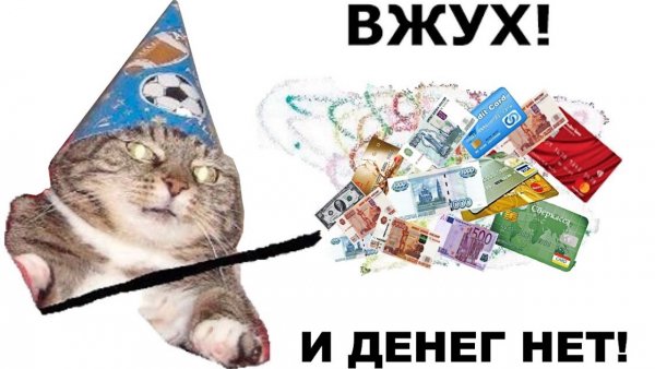 Кот вжух вжух