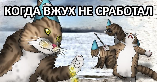 Кот вжух