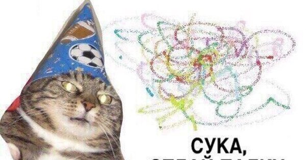 Кот вжух