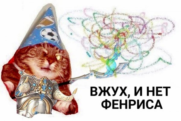 Котик вжух