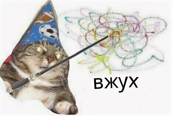 Кот магия вжух