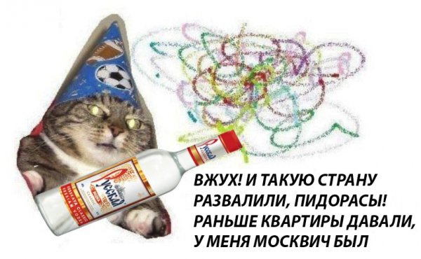 Котик вжух