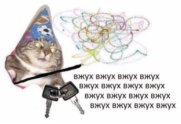 Котик с волшебной палочкой