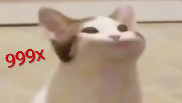 Кот с мема с открытым ртом