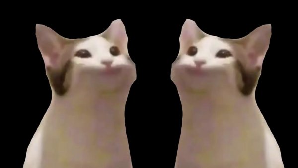 Мем кот а во рту