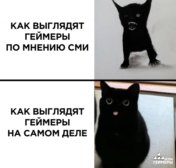 Кот Мем пикабу