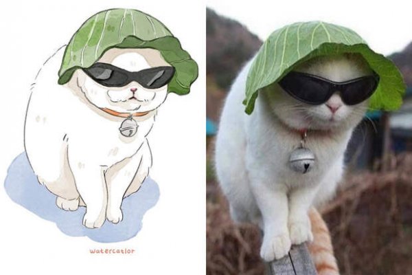 Что де стнами стало кот