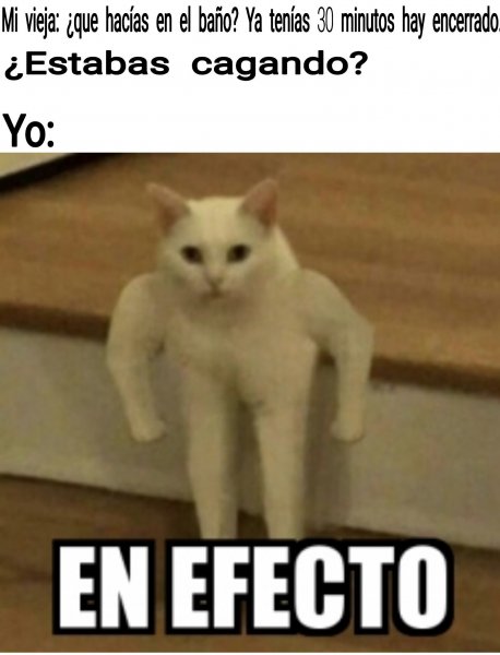 Мем кот а во рту