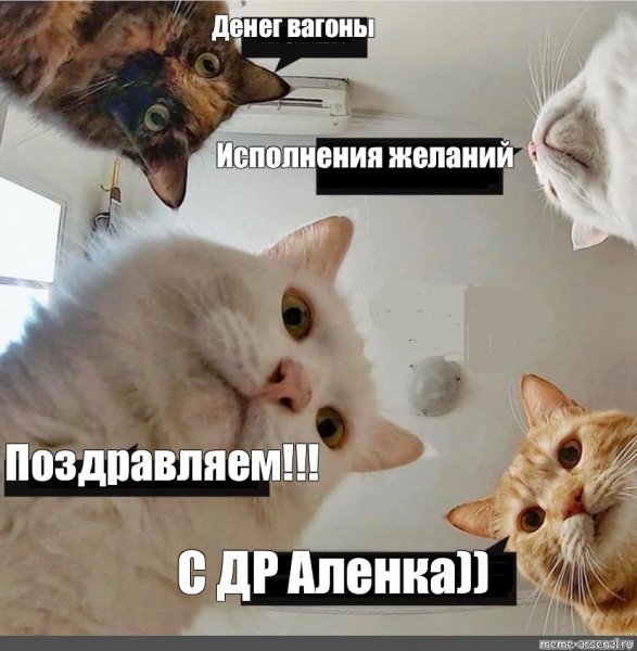 Кот открывает рот Мем