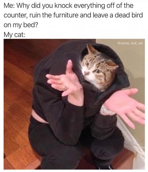 Ну бывает Мем девушка