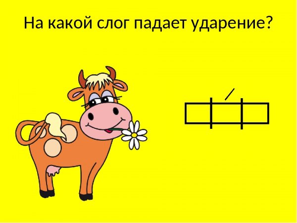 Шофер шоферы ударение