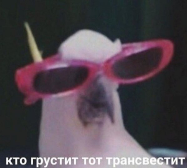 Кто грустит то трансвестит