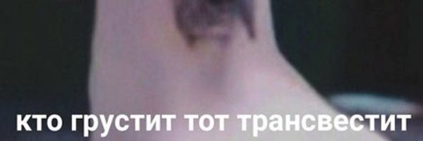 Кто грустит тот трансвисвистит