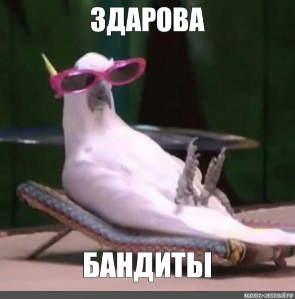 Кто грустит тот трансвисвистит рисунок