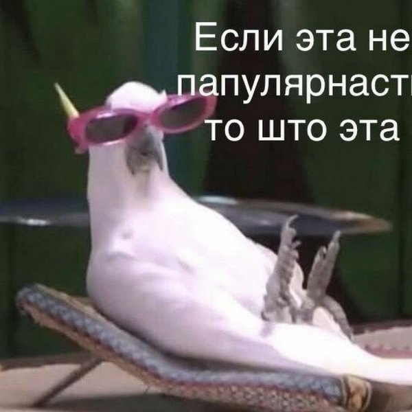 Кто грустит Мем