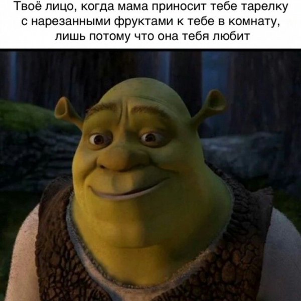 Шрек мемы
