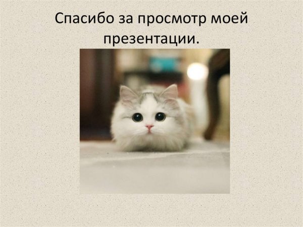 Спасибо за просмотр презентации