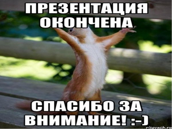 Спасибо за просмотр картинки смешные