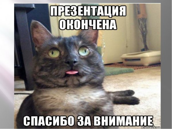 Рикардо Милос каникулы