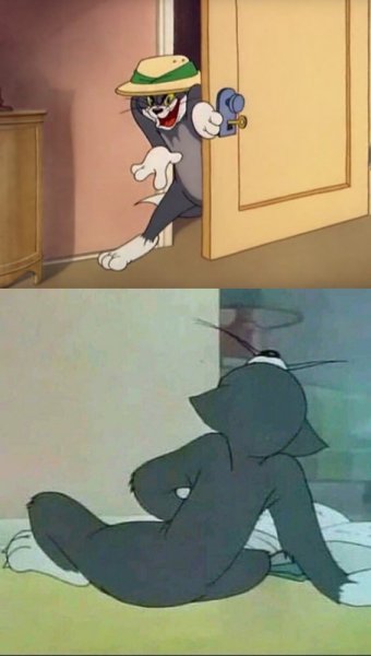 Всратый Джерри