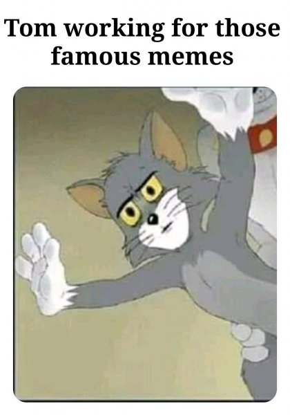Удивленный кот том