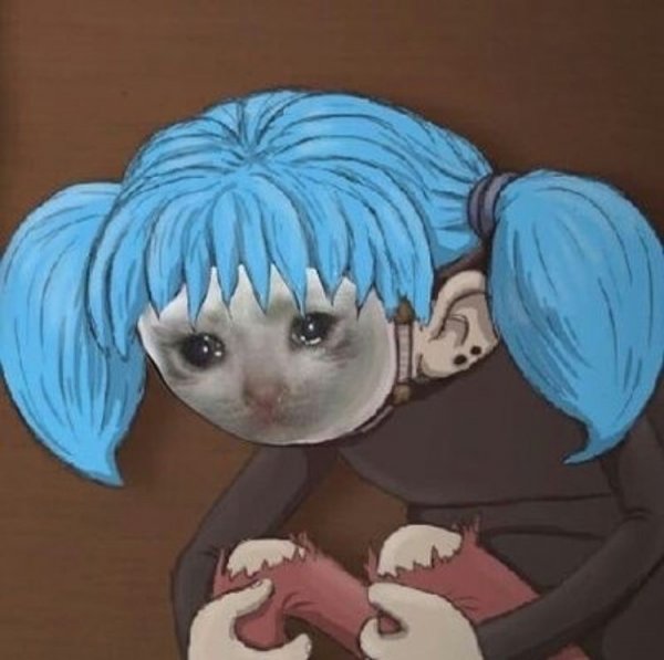 Салли фейс