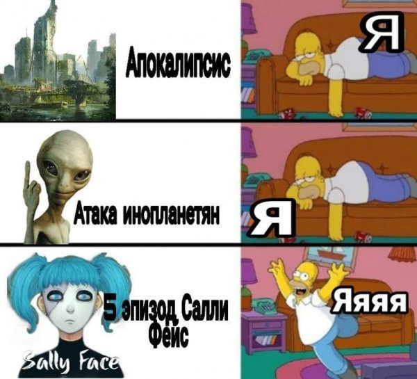 Мемы про Салли