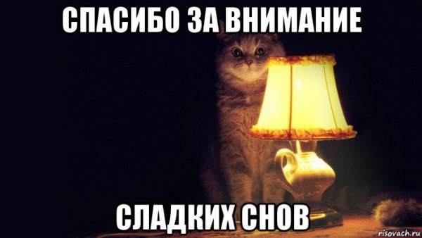 Спасибо за внимание кот