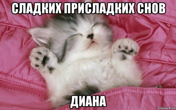 Спокойной ночи сладких снов Мем