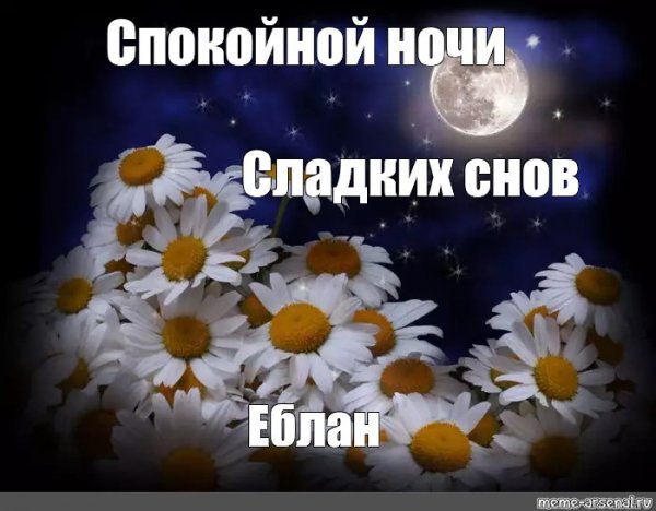 Пожелания спокойной ночи мемы