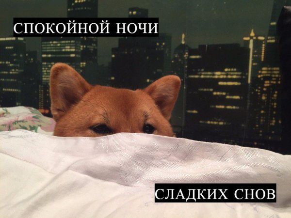Спокойной ночи сохраненк