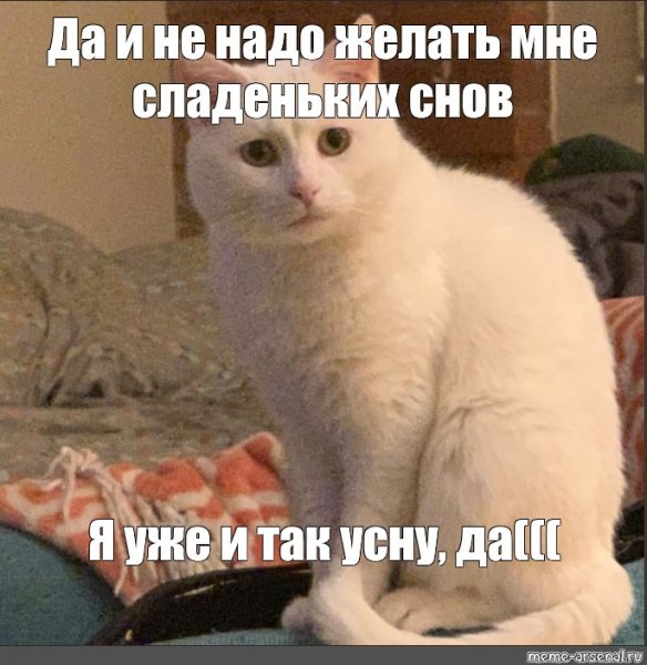 Спокойной ночи мне желать не надо