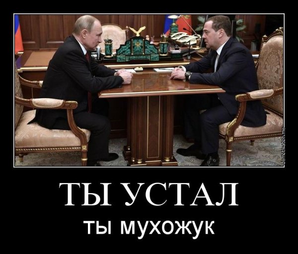 Борис Ельцин мухожук