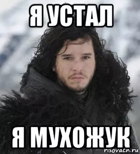 Я устал я мухожук