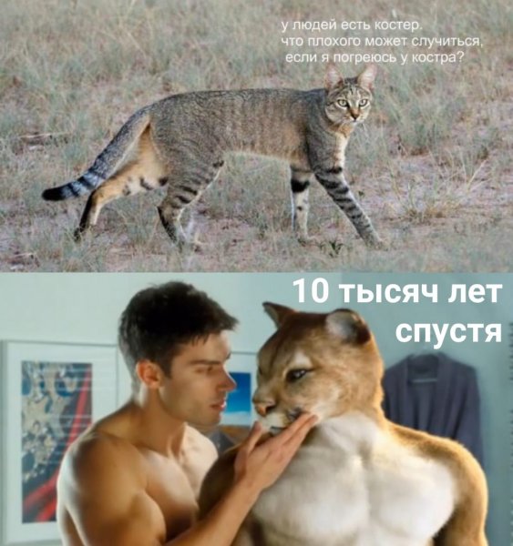 Закрой за мной дверь я мухожук