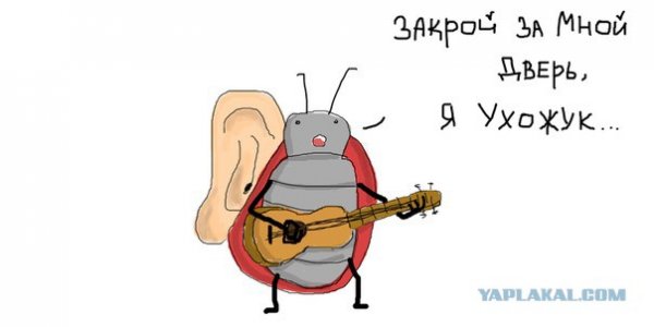 Мухожук Мем