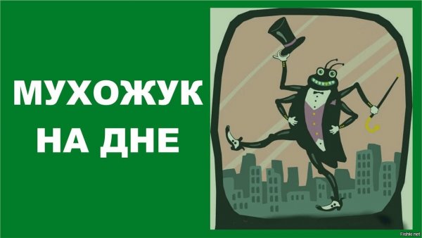 Я устал я мухожук откуда