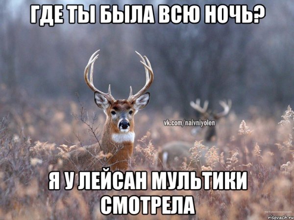 Не могу проснуться