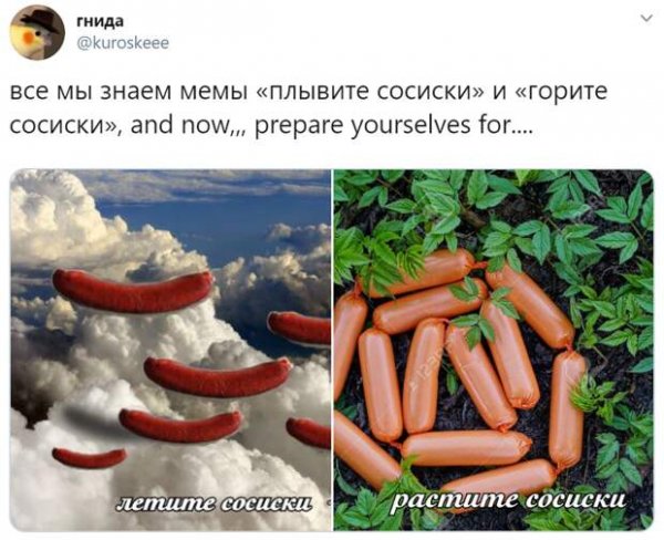 Мемы про сосиски