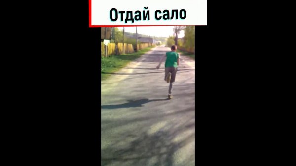 Отдай сало сало отдай