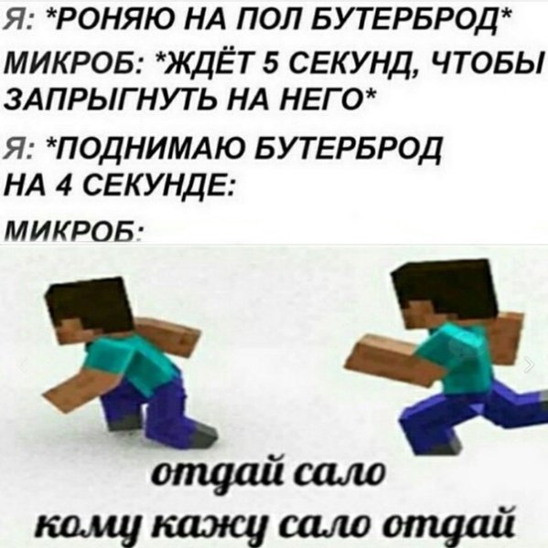 Отдай сало майнкрафт